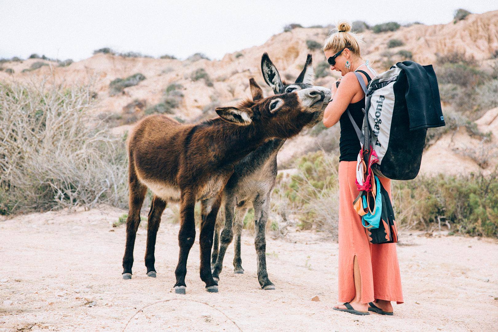 On the road to nowhere, a pair of gregarious locals offer up their services.