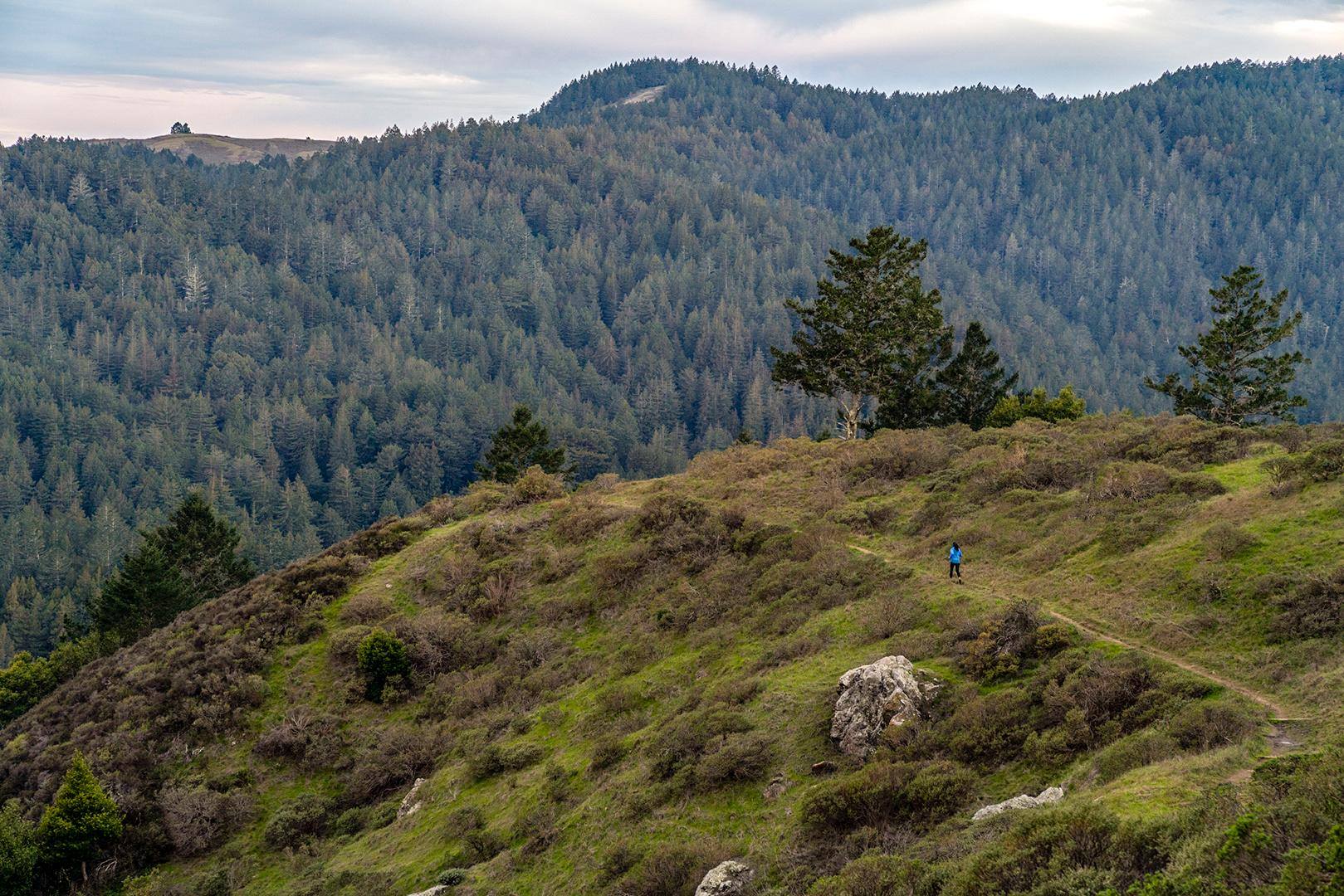 Even with a city of nearly 900,000 people just to the south, it’s still possible to have the trails to yourself. Mt. Tamalpais, California. 