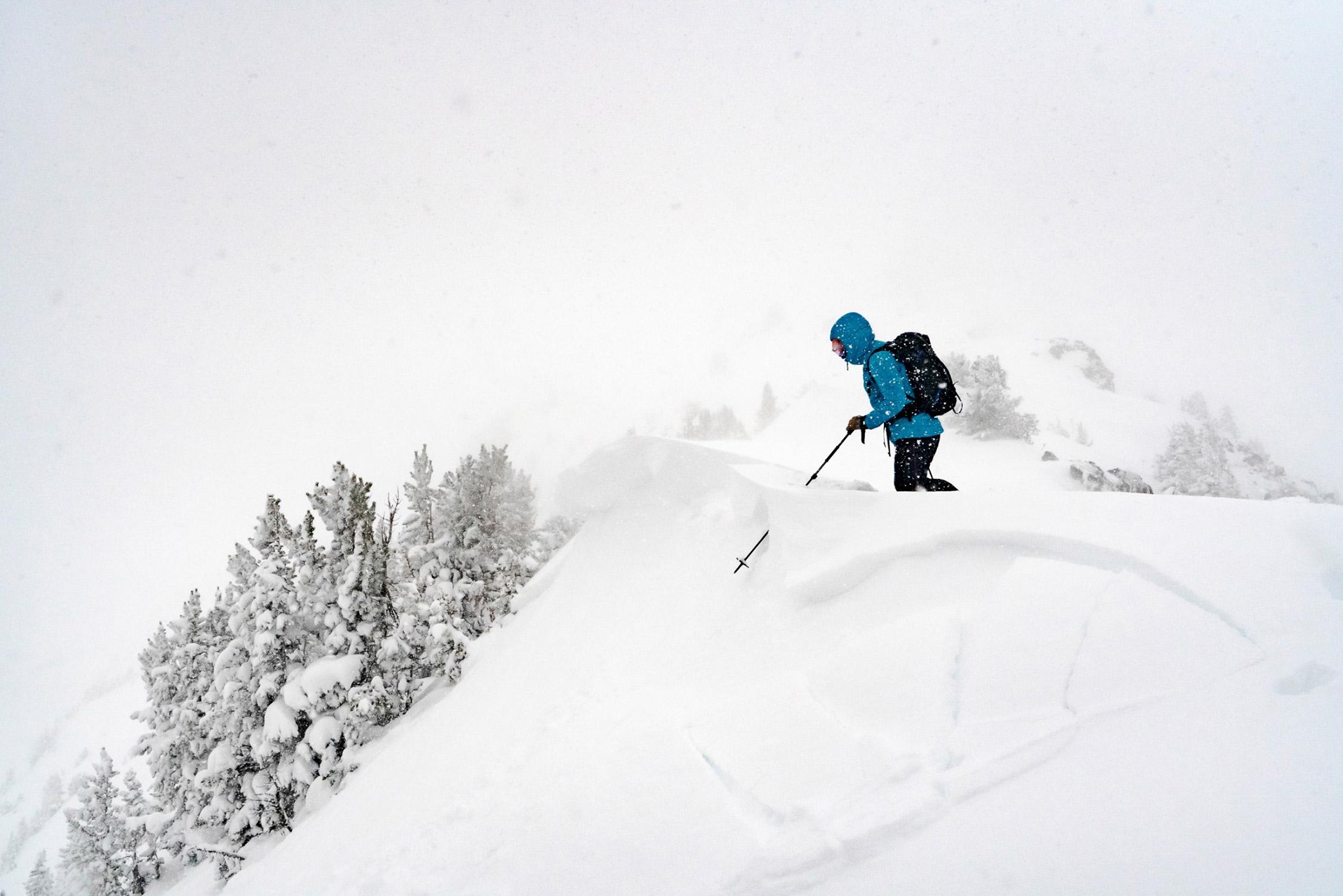 When it goes this big, it's definitely time to go home. Anne Gilber Chase peers into the face of the beast during a hefty January storm cycle near Bozeman, Montana. ​