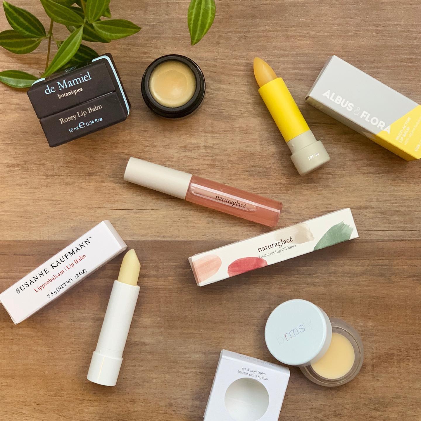 5 Best Natural Non-Toxic Lip Balms Without Mineral Oil⁣