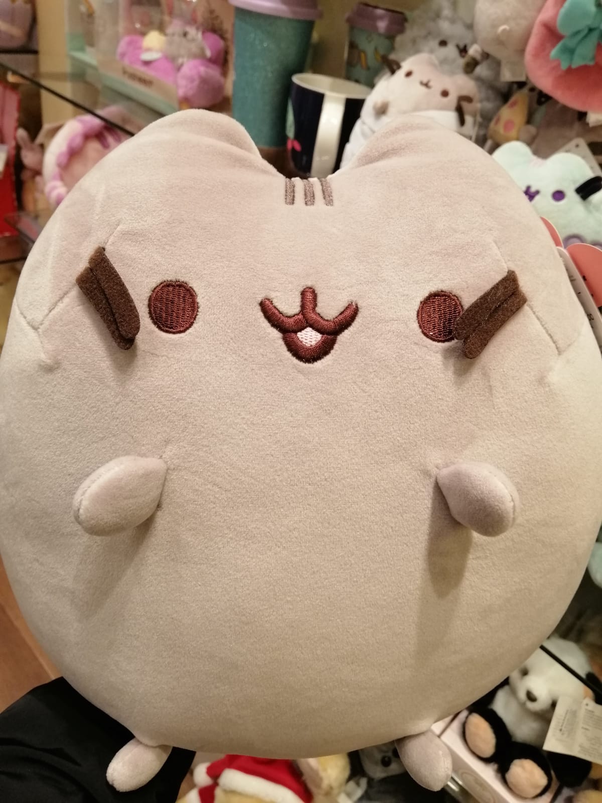 🎄聖誕禮物推介 🔸#Pusheen #胖吉貓 篇🔸