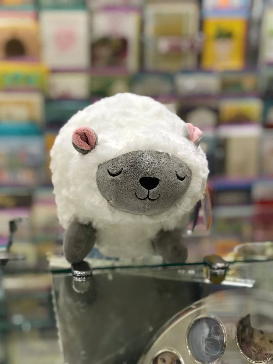 【新品到店- 動物音樂篇🎶】