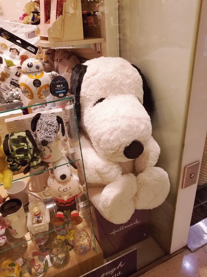 😍可愛嘅XL版 #Snoopy 🐶又嚟到Hallmark啦！軟綿綿嘅佢好好攬架，唔好等快啲嚟帶佢走啦🙌🏻