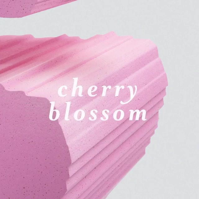 Cherry Blossom | 誰能抗拒粉紅？