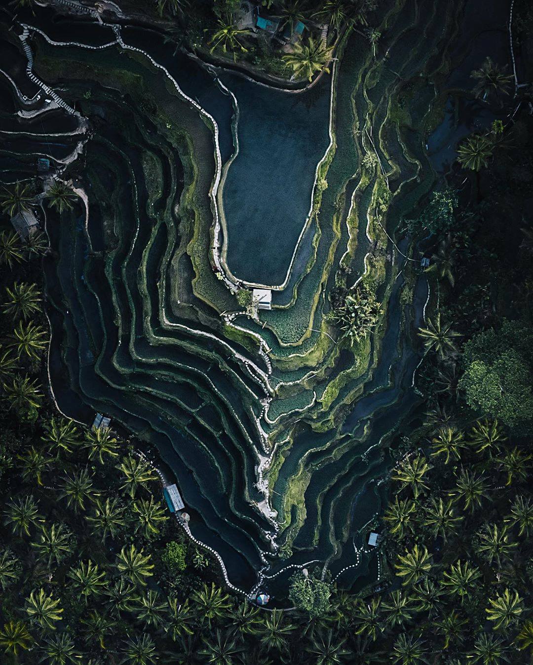 A view from above the iconic rice paddies of Bali, Indonesia. #PerfectingTheJourney