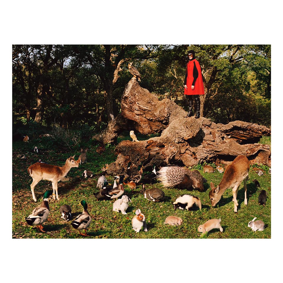 So Deer To Me. An ode to innocence, when as children we revelled in nature and life is the idea behind the new Pre-Fall 2020 campaign shot by Alasdair McLellan with creative direction by Alessandro Michele and art direction by Christopher Simmonds. Discover more on.gucci.com/SoDeerToMe_