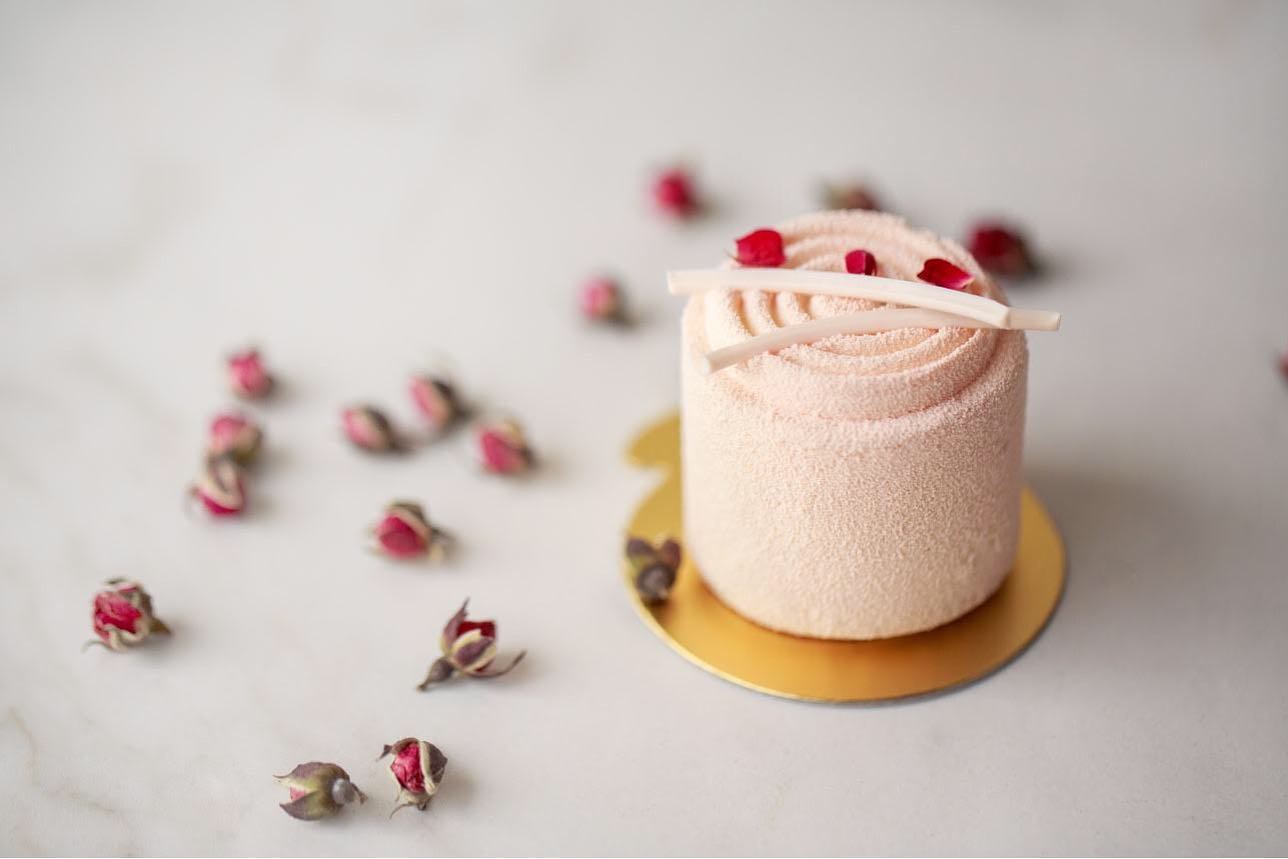 NEW 🍰 Rosehip Cheesecake 