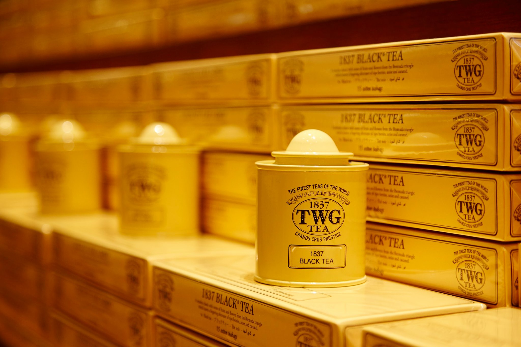 #NowInfusing: TWG Tea's renowned signature tea, 1837 Black is a unique blend of black tea with notes of fruits and flowers from the Bermuda triangle, which leaves a lingering aftertaste of ripe berries, anise, and caramel. A timeless classic. Shop now at TWGTea.Com.