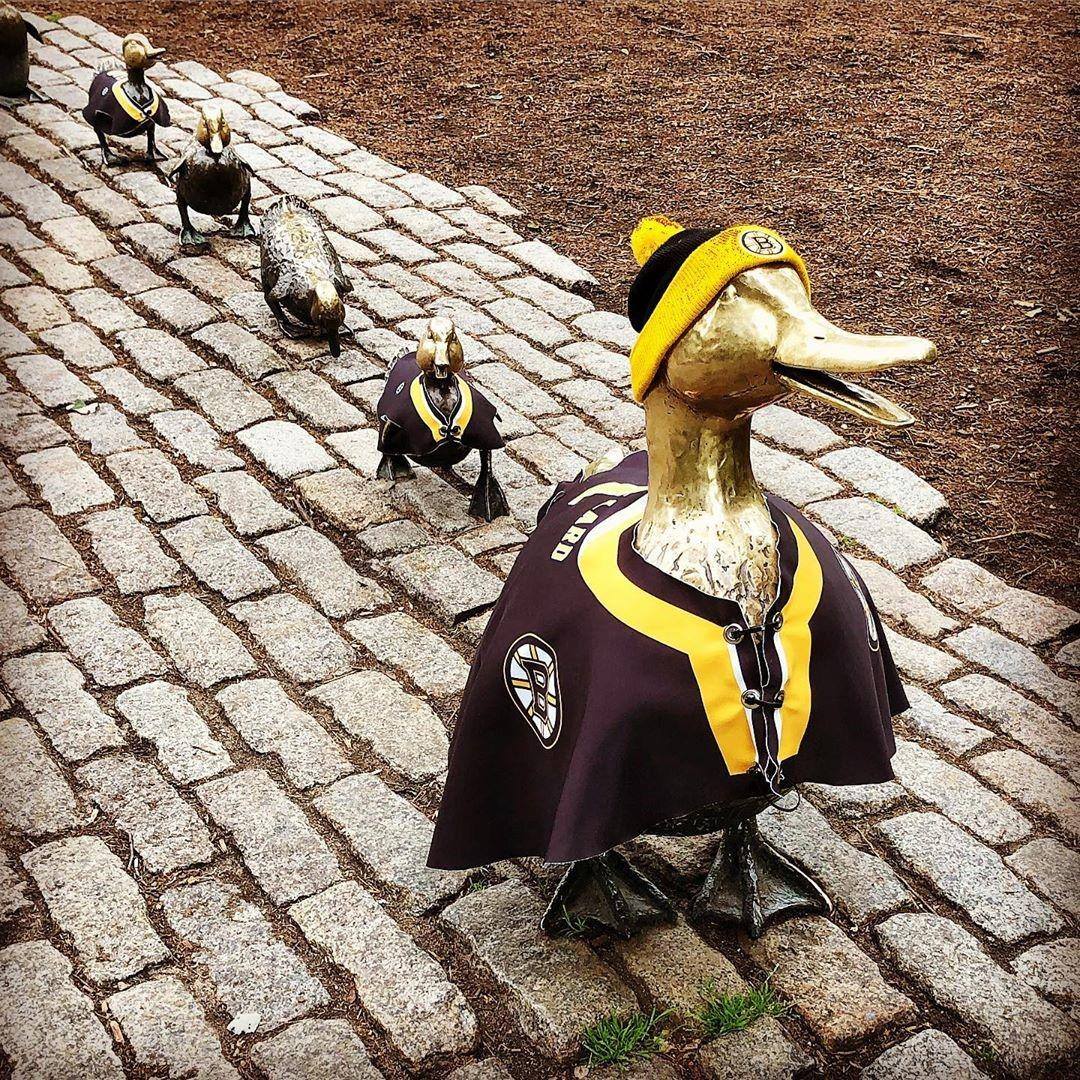 Make way for Bruins 🦆 🏒 #gobruins #stanleycup #bostonbruins