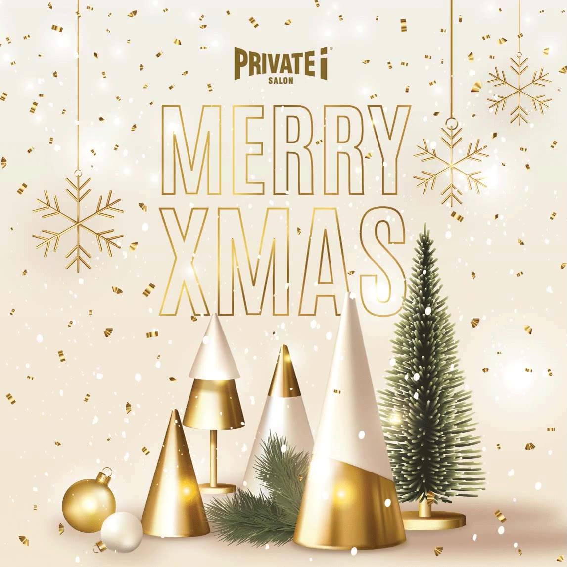 PRIVATE i SALON wish you Merry Christmas! 🎄