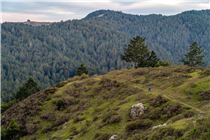 Even with a city of nearly 900,000 people just to the south, it’s still possible to have the trails to yourself. Mt. Tamalpais, California. 