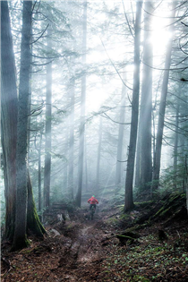 Enlightenment comes from many places. For Matt Yaki, it’s the giant cedars and foggy sunrays on Boulder Mountain, a trail system across the Columbia River from Revelstoke, British Columbia.