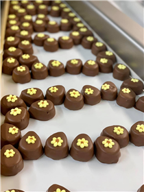 It’s never too early for an Easter egg hunt 💛 Ours started today in the See’s factory 🍫🐣