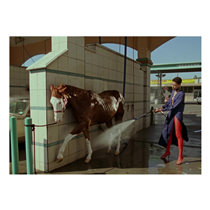 Set in Los Angeles, the Gucci Spring Summer 2020 campaign stars horses and their human friends in paradoxical scenarios. Of Course A Horse is conceived by Alessandro Michele, art directed by Christopher Simmonds and directed by Yorgos Lanthimos. Watch the full video on.gucci.com/GucciOfCourseAHorse_. Music: “Everybody’s Talkin’” Harry Nilsson (F. Neil) (P) Originally Released 1968. All rights reserved by RCA Records, a division of Sony Music