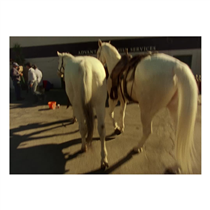 On the beach, in the kitchen, at the car wash and inside the hotel Chateau Marmont: scenes from the making of Of Course A Horse, the Gucci Spring Summer 2020 campaign to celebrate freedom. Discover more on.gucci.com/MeetTheGucciHorses_. Music: ‘Touch Me I’m Sick’