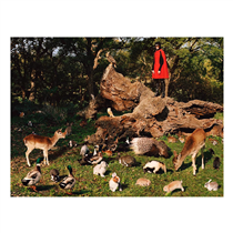 So Deer To Me. An ode to innocence, when as children we revelled in nature and life is the idea behind the new Pre-Fall 2020 campaign shot by Alasdair McLellan with creative direction by Alessandro Michele and art direction by Christopher Simmonds. Discover more on.gucci.com/SoDeerToMe_