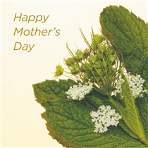 Happy Mother’s Day! 