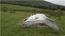 在愛爾蘭著名的威克洛山脈，#FW19 秋冬系列廣告演繹了 b+ab 不設限制、具時尚創意的時裝！詳情請瀏覽 #ITeSHOP 或 b+ab專門店！ 🛍Shop now: bit.ly/bplusabeshop