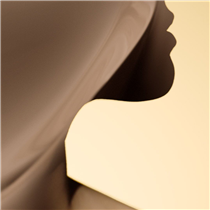 SUBLIMAGE L’ESSENCE DE TEINT. A powerful radiance enhancer and an unprecedented texture for a new serum foundation.