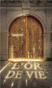 Enter the Legendary Château d’Yquem.